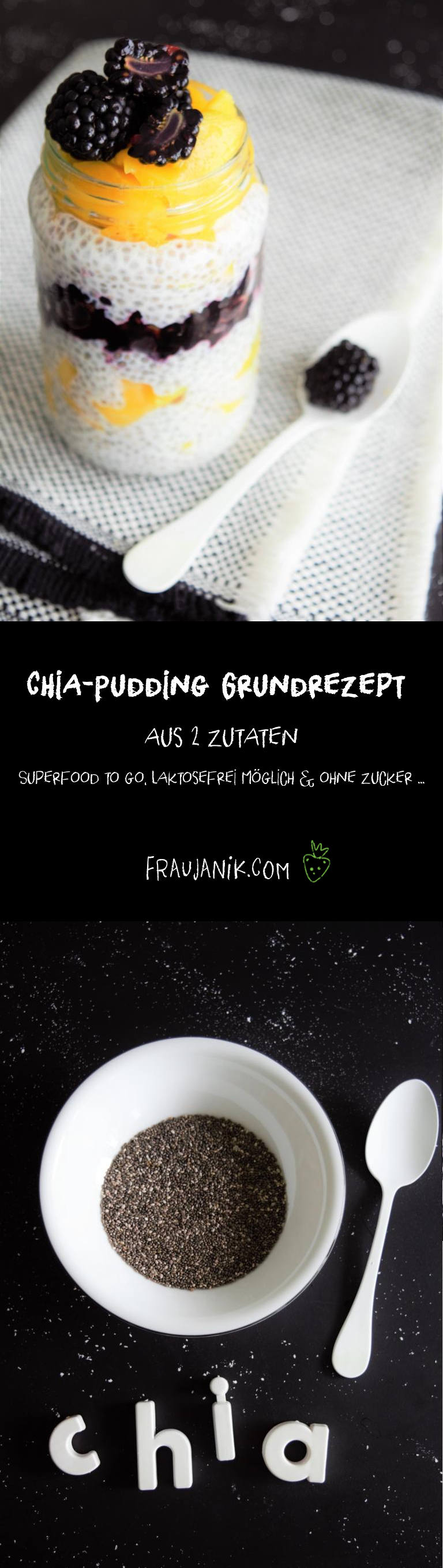 Chia-Pudding Grundrezept, vegan